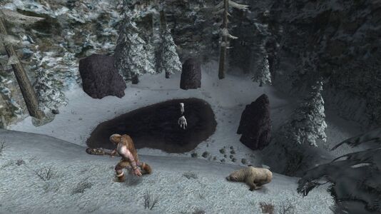Looking down to the snowbeasts' pool