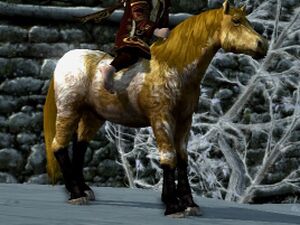 Shaggy Roan Coat: Bay