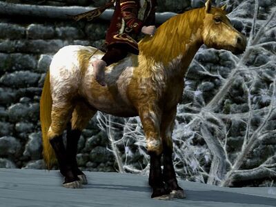 Shaggy Roan Coat: Bay