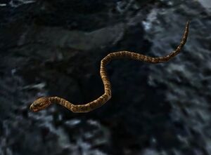 Image of Cold Snake