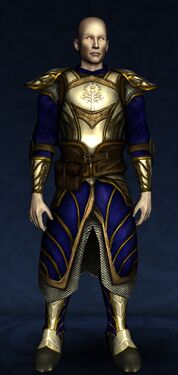 Ceremonial Rememberance Garments