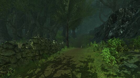 View from Tom Bombadil's House