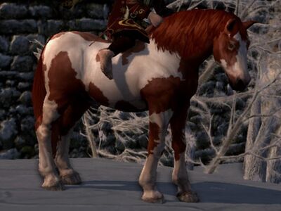 Tobiano Coat: Flaxen Chestnut