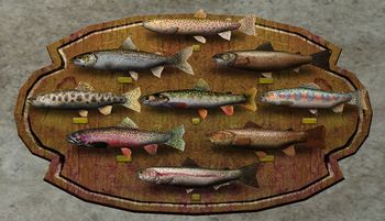 Trout Group Trophy.jpg