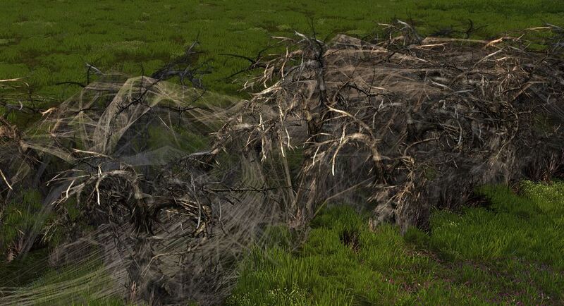 File:Wild Webbed Hedge.jpg