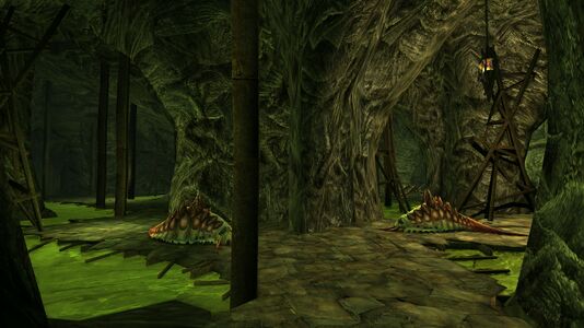 The slug-infested tunnels