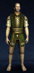 Braided Tunic and Trousers of the Spring Woods