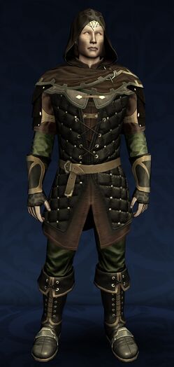 Frayed Light Delving Armour