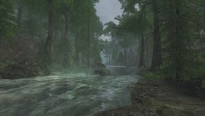 Forest River.jpg