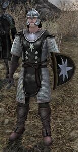 Image of Gondorian Defender