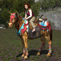 Image of Steed of the Minstrel (Pony)