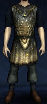 Tunic Set of Summer's Night