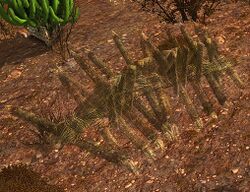 Image of Camp Barricade