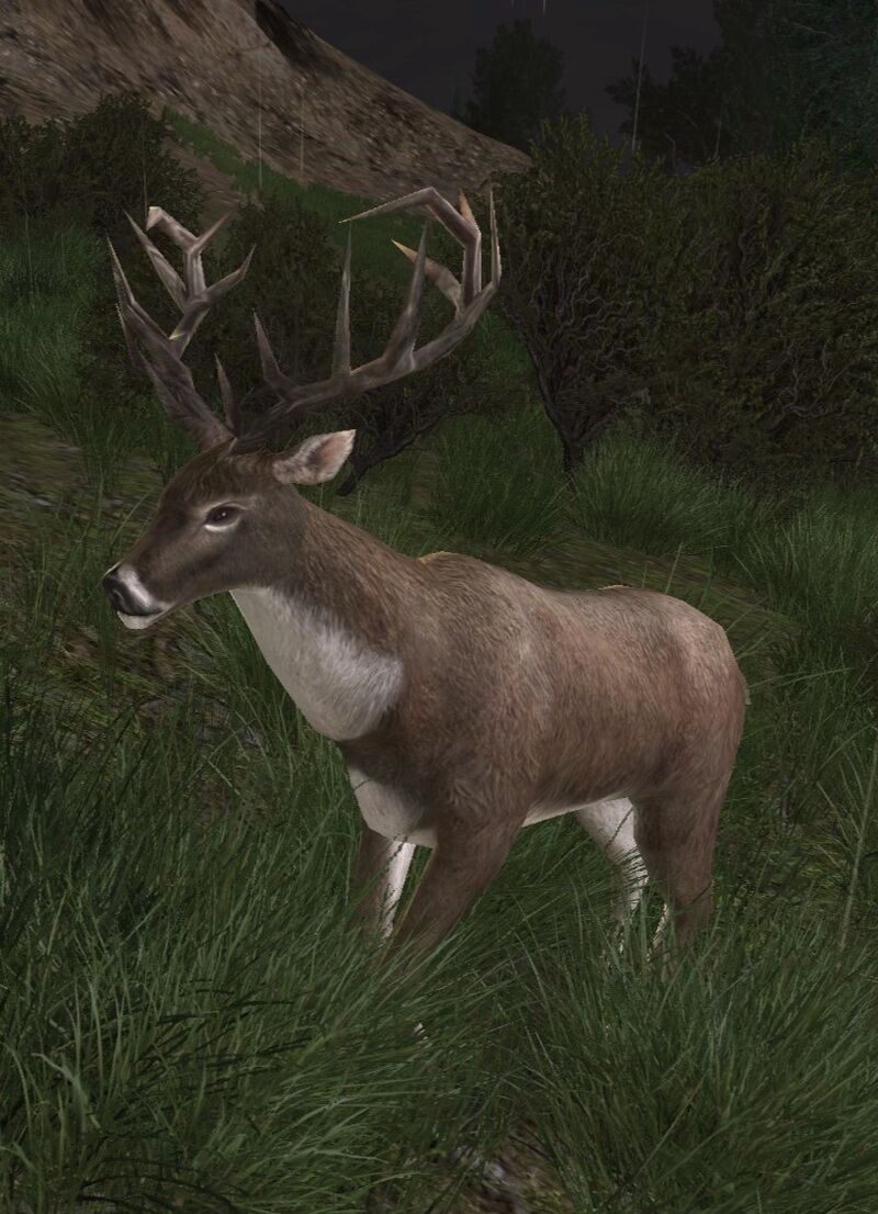 Hart - Lotro-Wiki.com