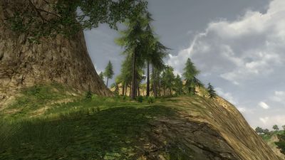 Climb to Brandywood from Starmere Lake