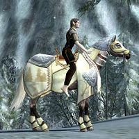 Image of Wintry Yule Horse