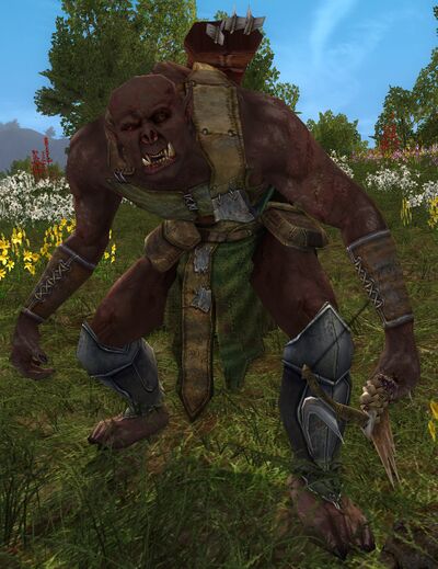 Borhashat - Lotro-Wiki.com