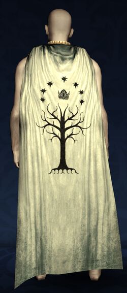 Cloak of the Citadel Guard Captain