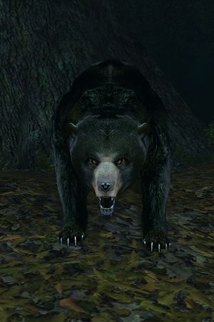Mirkwood Bear.jpg