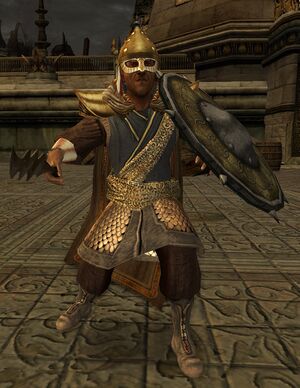 Haradrim Champion - Lotro-Wiki.com