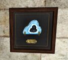 Agate Trophy - Wall-mounted