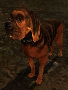 Image of Faroth