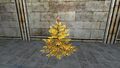 Golden Celebratory Winter Tree
