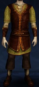 Long-sleeved Summer Tunic and Trousers